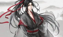 魔道祖师电视剧,探寻仙侠世界，揭秘蓝忘机与魏无羡的宿命纠葛