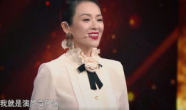 左小青演过的电视剧,从青涩校园到成熟荧屏的蜕变之旅